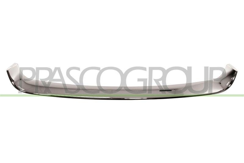 Trim/Protective Strip, bumper