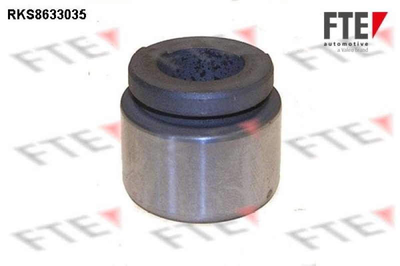 FTE Piston, brake caliper