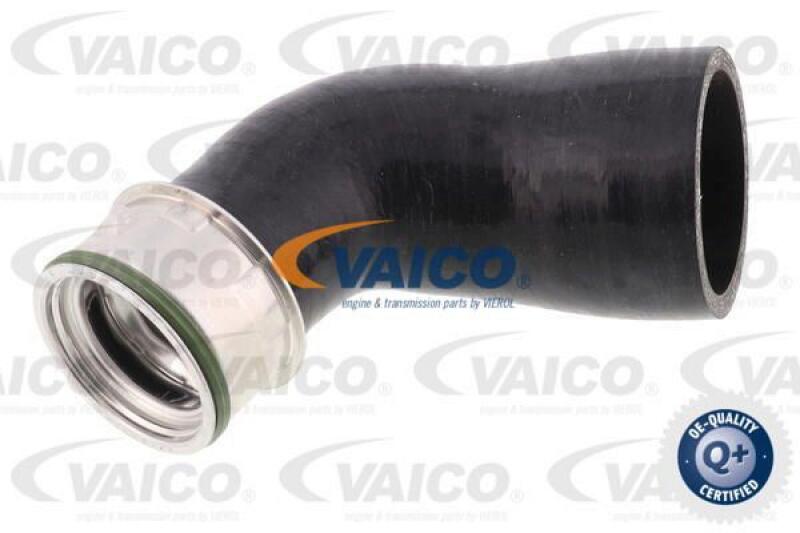 VAICO Charger Air Hose Q+, original equipment manufacturer quality