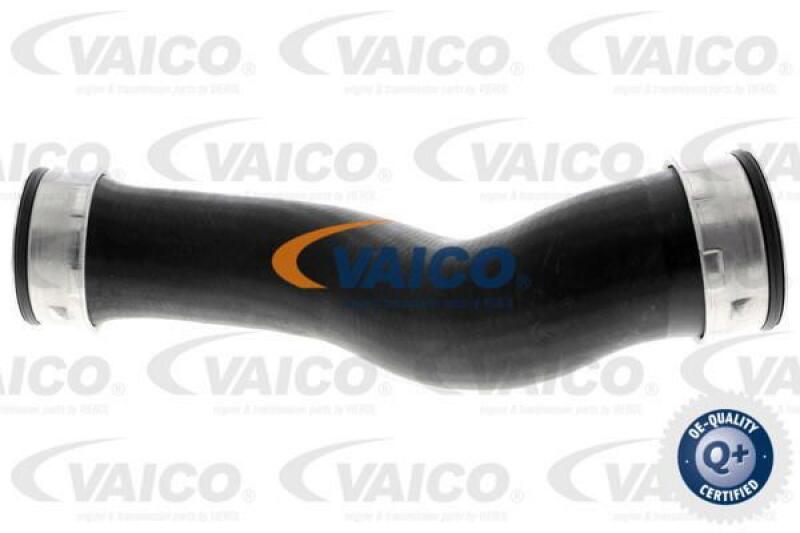 VAICO Charger Air Hose Q+, original equipment manufacturer quality