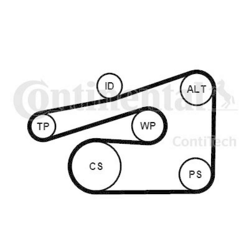 CONTITECH V-Ribbed Belt Set