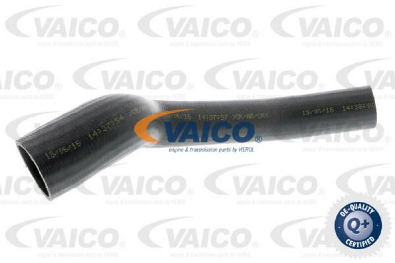 VAICO Charger Air Hose Q+, original equipment manufacturer quality