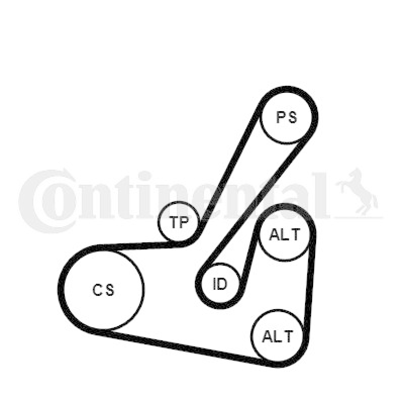 CONTINENTAL CTAM Keilrippenriemensatz