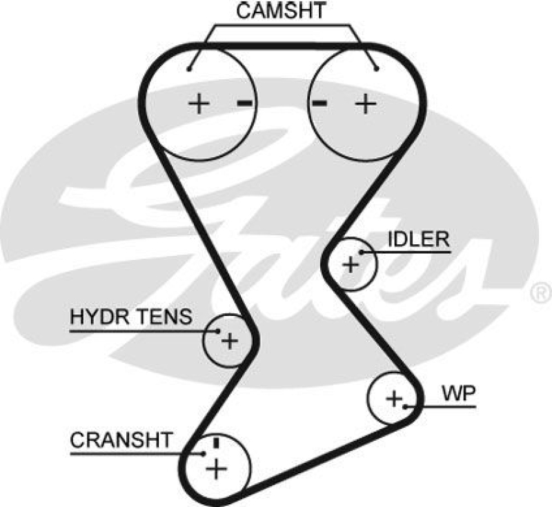 GATES Timing Belt RPM™ Racing Timing Belt