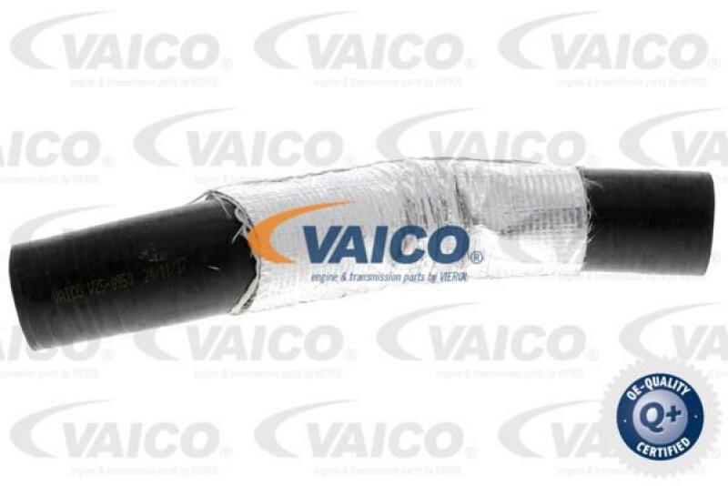 VAICO Charger Air Hose Q+, original equipment manufacturer quality