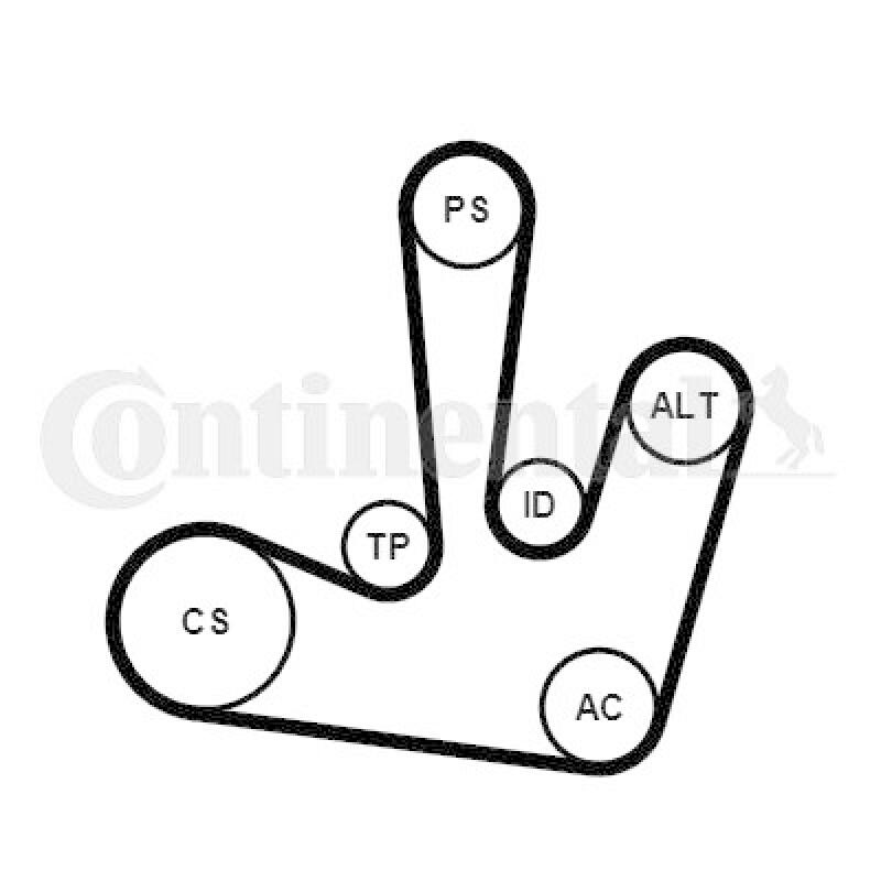 CONTINENTAL CTAM Keilrippenriemensatz