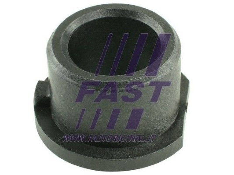 FAST Bushing, selector/shift rod