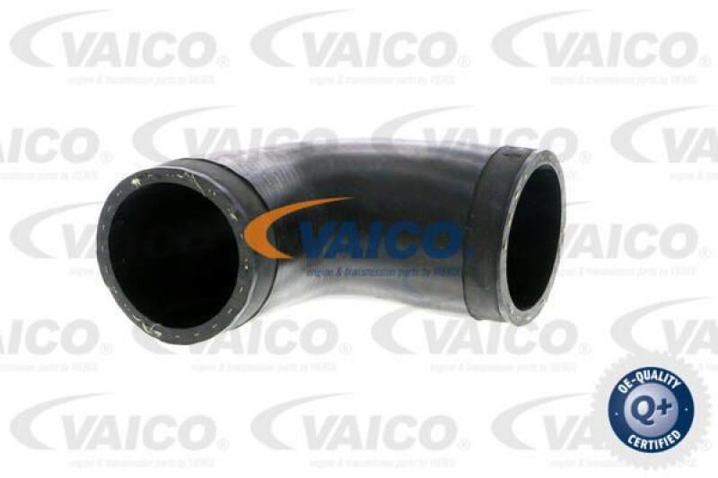 VAICO Charger Air Hose Q+, original equipment manufacturer quality