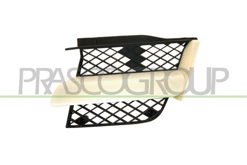 Radiator Grille