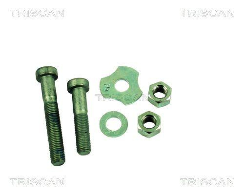 TRISCAN Repair Kit, guide strut