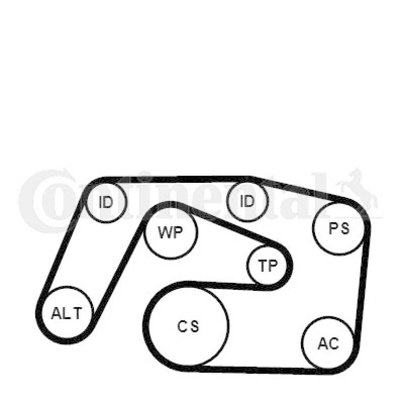 CONTINENTAL CTAM Keilrippenriemensatz