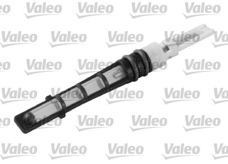 VALEO Injector Nozzle, expansion valve