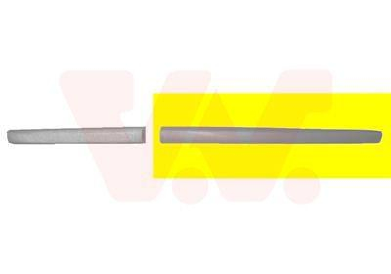 VAN WEZEL Trim/Protective Strip, door