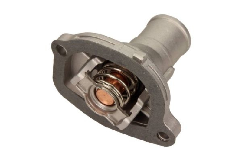 MAXGEAR Thermostat, coolant