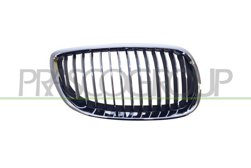 Radiator Grille Premium