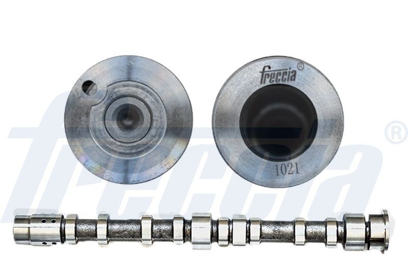 FRECCIA Camshaft