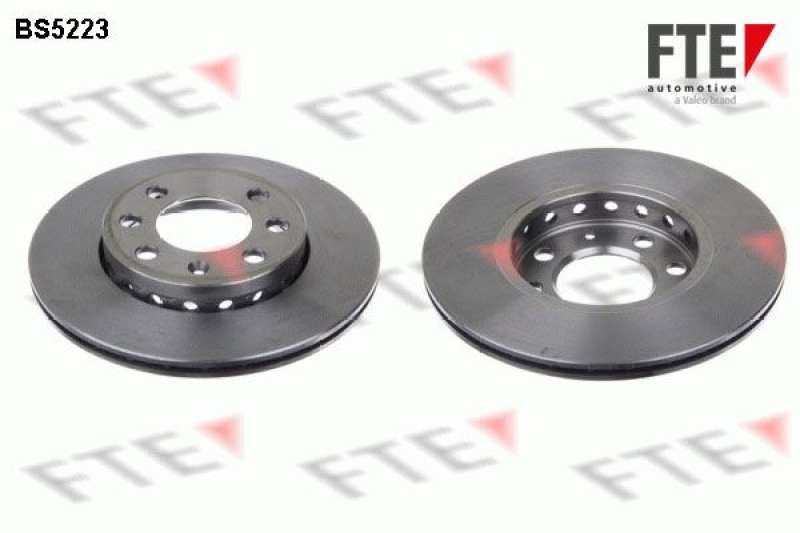 2x FTE Brake Disc