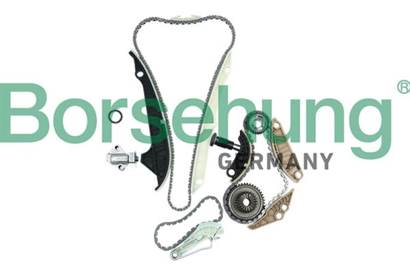 Borsehung Timing Chain Kit