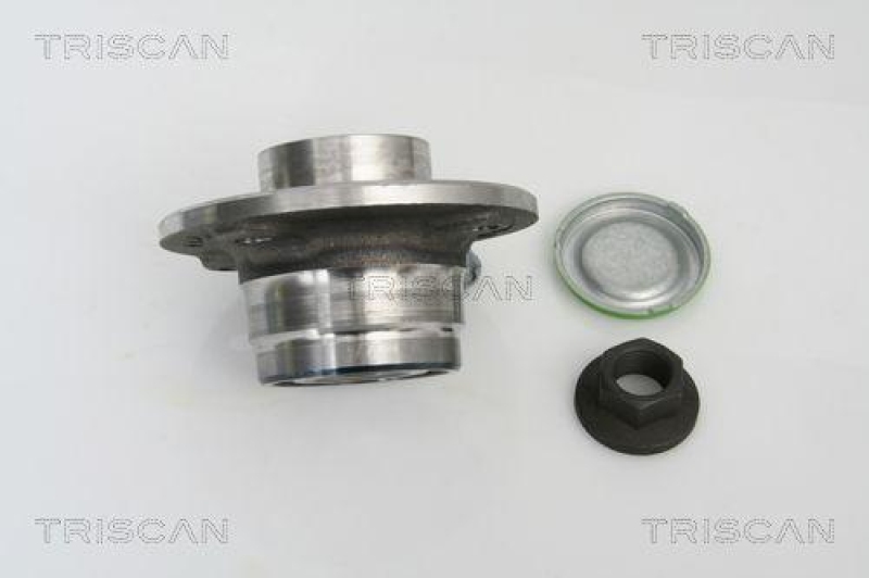 TRISCAN Wheel Bearing Kit