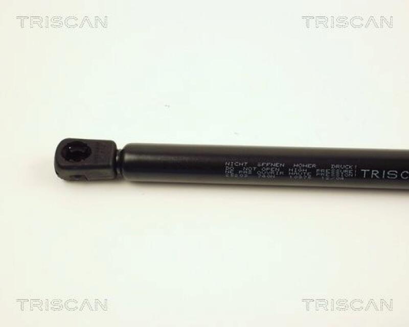 TRISCAN Gas Spring, boot-/cargo area