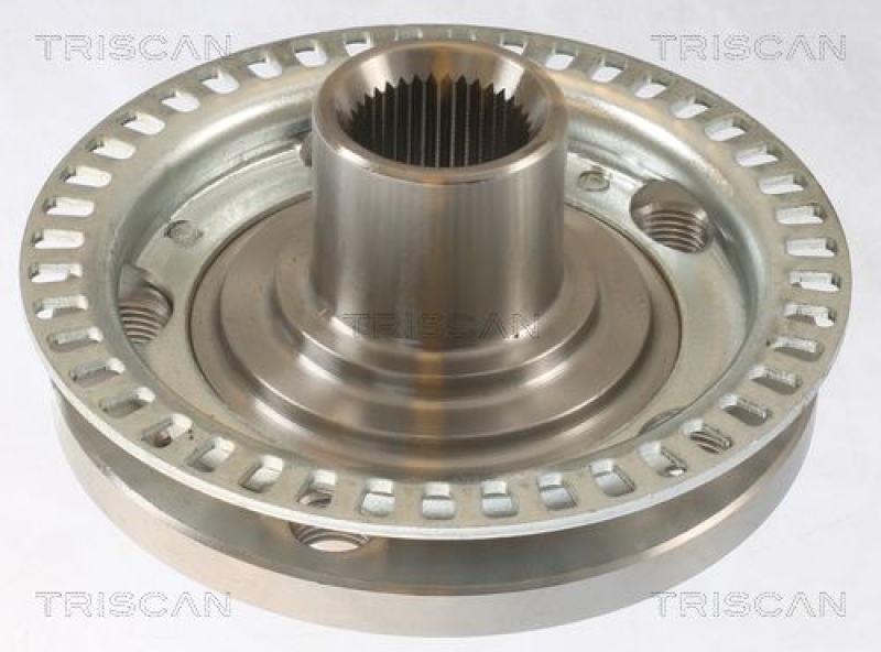 TRISCAN Wheel Hub