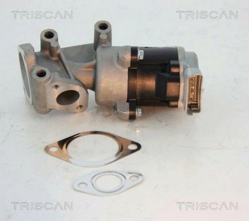 TRISCAN EGR Valve