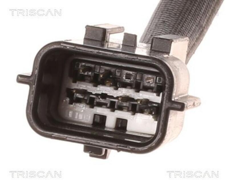 TRISCAN EGR Valve