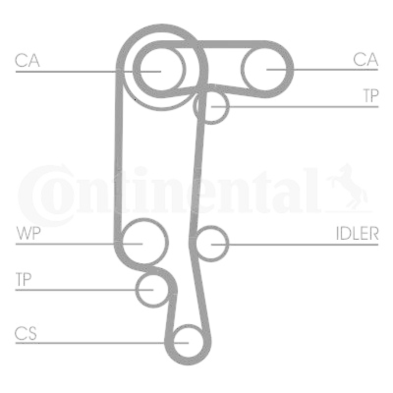 CONTITECH Water Pump & Timing Belt Kit