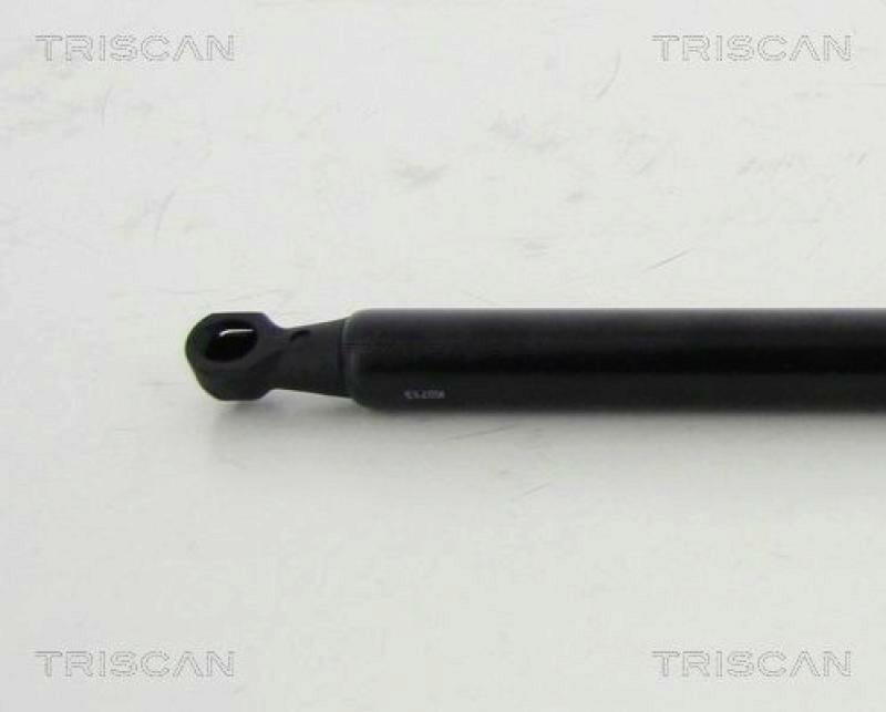 TRISCAN Gas Spring, boot-/cargo area