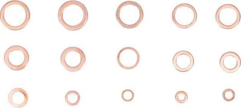 BGS Seal Ring Kit