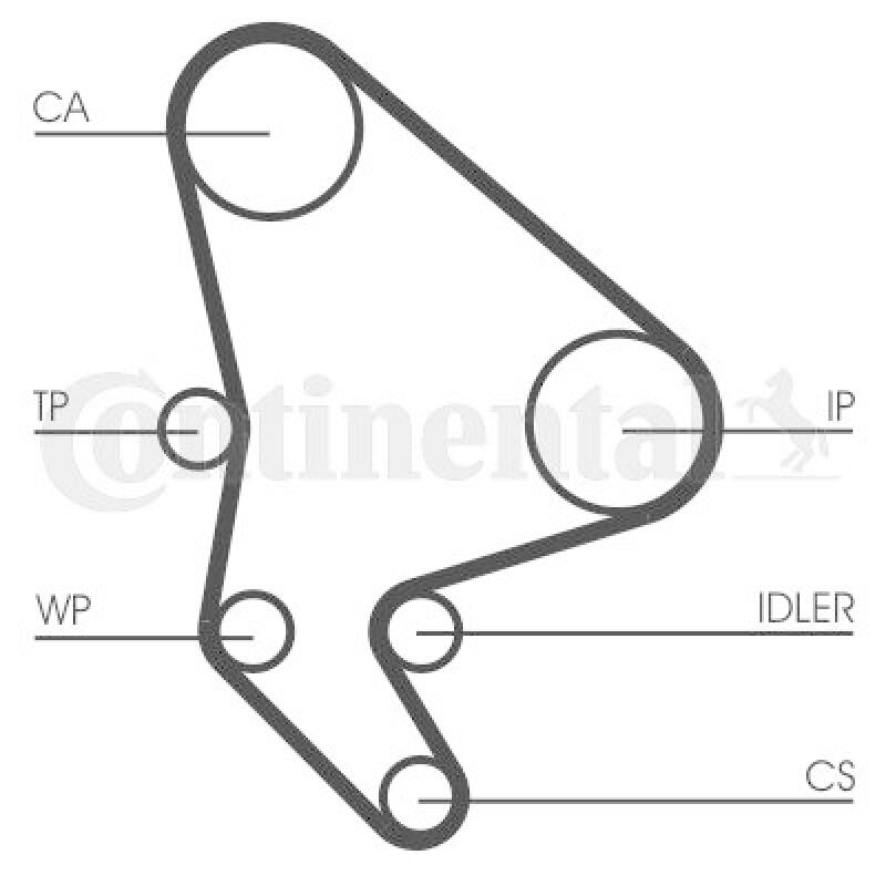 CONTITECH Water Pump & Timing Belt Kit