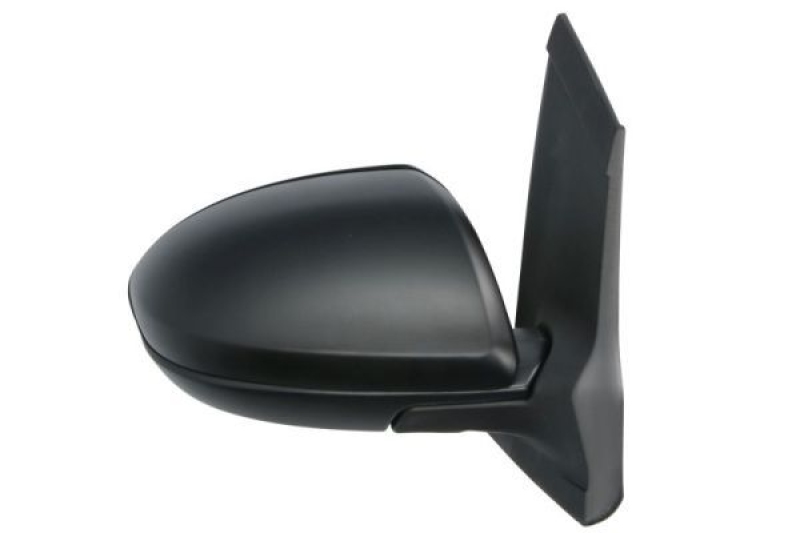 BLIC Exterior Mirror