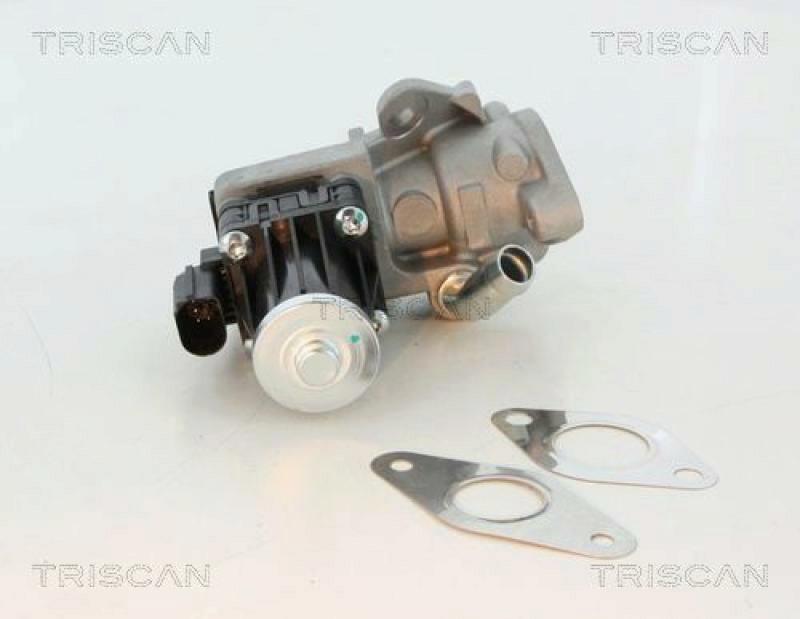 TRISCAN EGR Valve