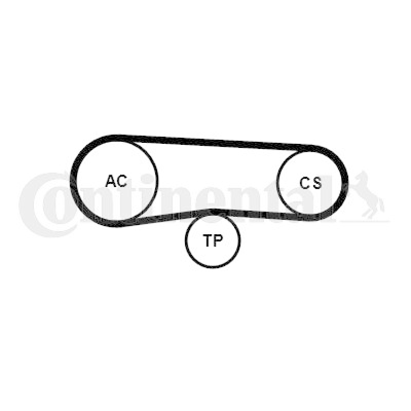 CONTINENTAL CTAM Keilrippenriemensatz