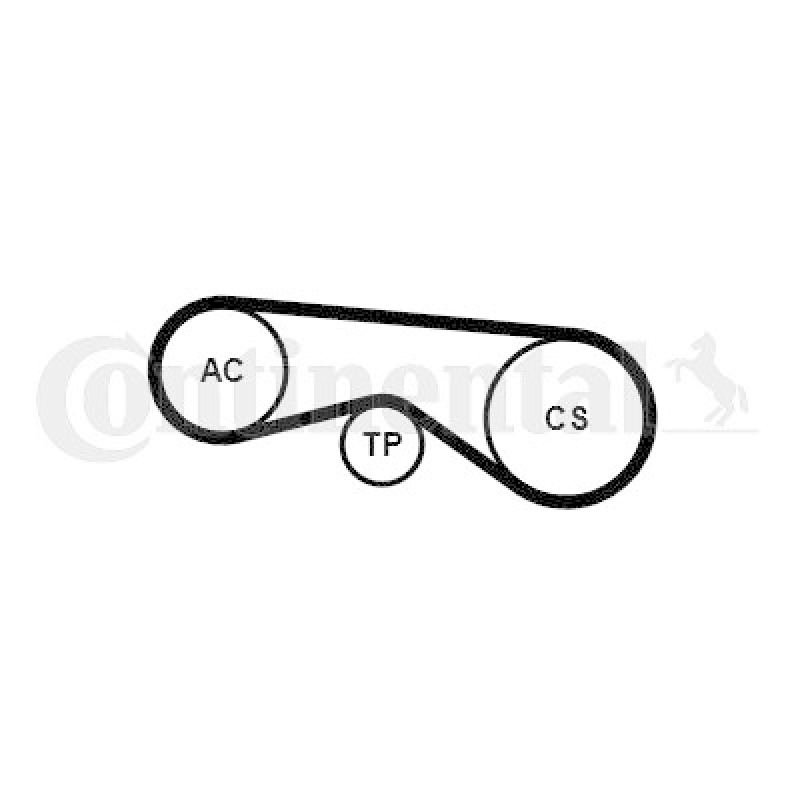 CONTINENTAL CTAM Keilrippenriemensatz