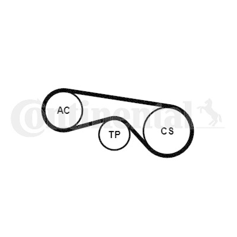 CONTINENTAL CTAM Keilrippenriemensatz