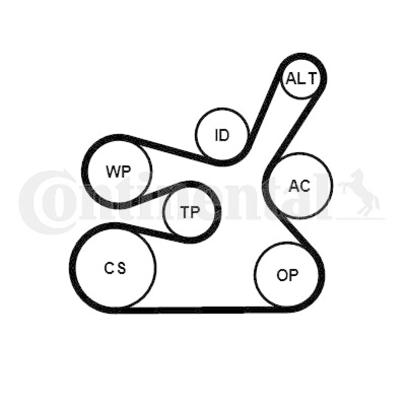 CONTINENTAL CTAM Keilrippenriemensatz
