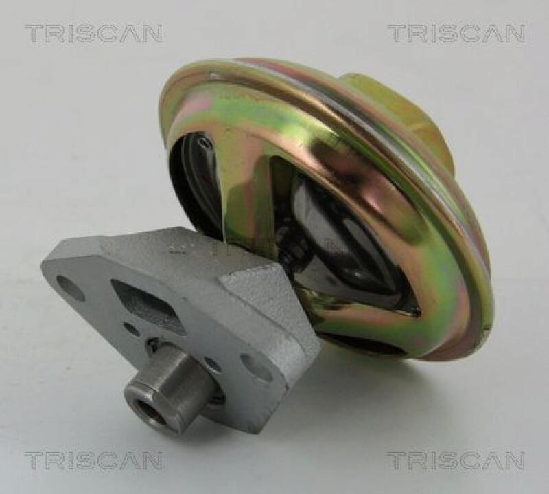 TRISCAN EGR Valve