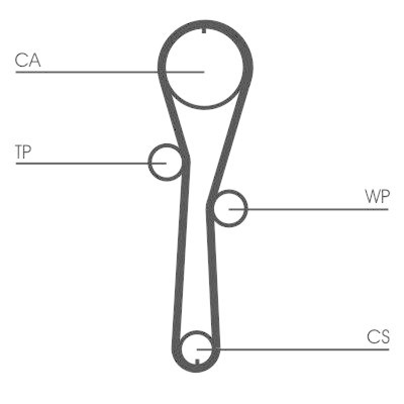 CONTITECH Wasserpumpe + Zahnriemensatz