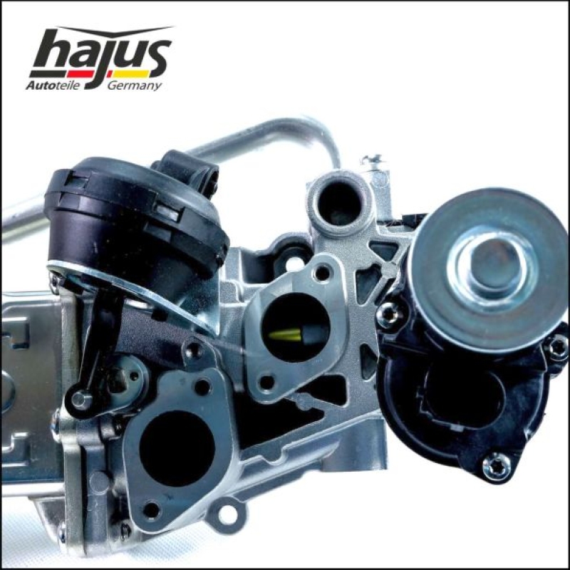 hajus Autoteile AGR-Modul