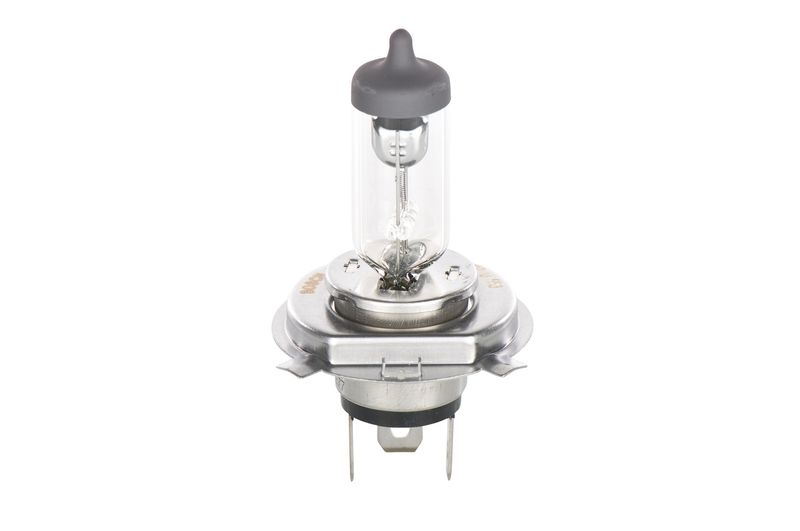 BOSCH Glühlampe, Fernscheinwerfer ECO Plus 100 WS