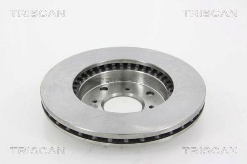 2x TRISCAN Brake Disc