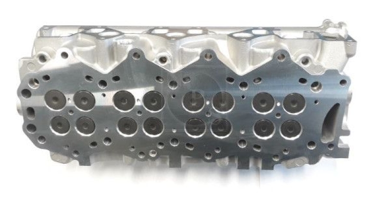 NPS Cylinder Head