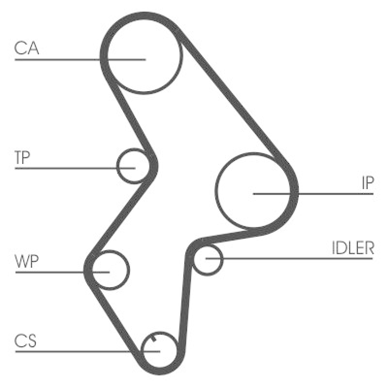 CONTINENTAL CTAM Water Pump & Timing Belt Set