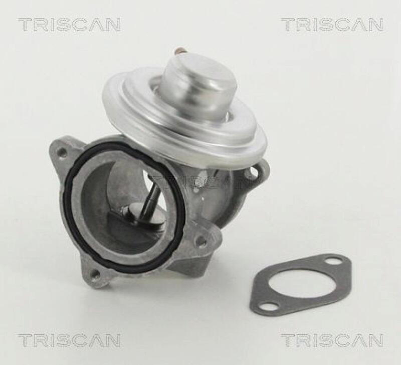 TRISCAN EGR Valve