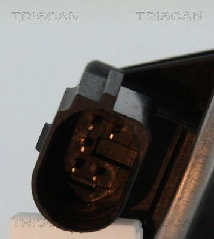 TRISCAN EGR Valve