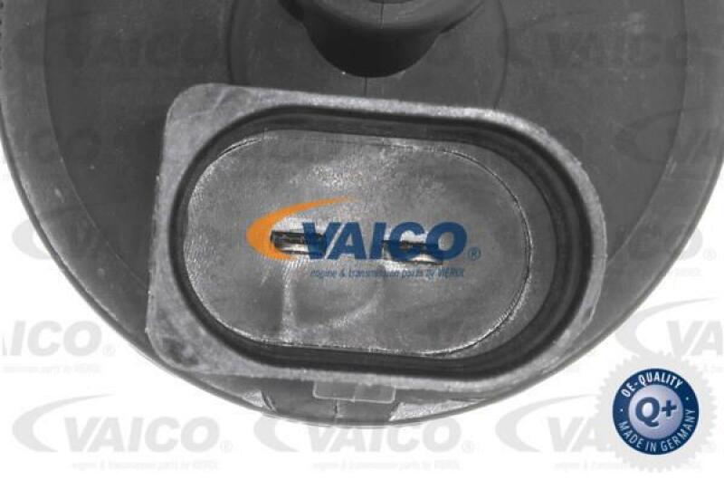 VAICO Hose, air supply Q+, original equipment manufacturer quality MADE IN GERMANY