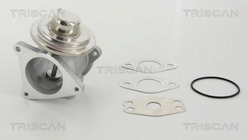 TRISCAN EGR Valve