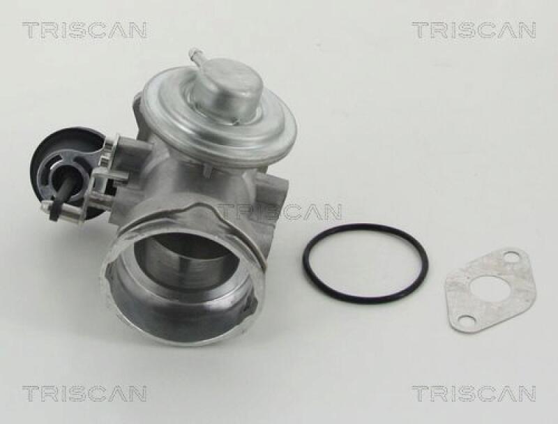 TRISCAN EGR Valve