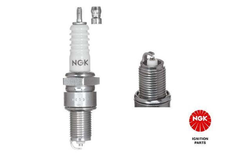 NGK Spark Plug